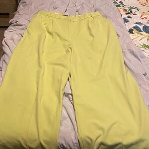Express Light Green Wide-Leg Pants